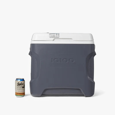 igloo 12v cooler